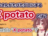 戌神ころねが良く口にする"Xpotato"とは？(What is "Xpotato"?)