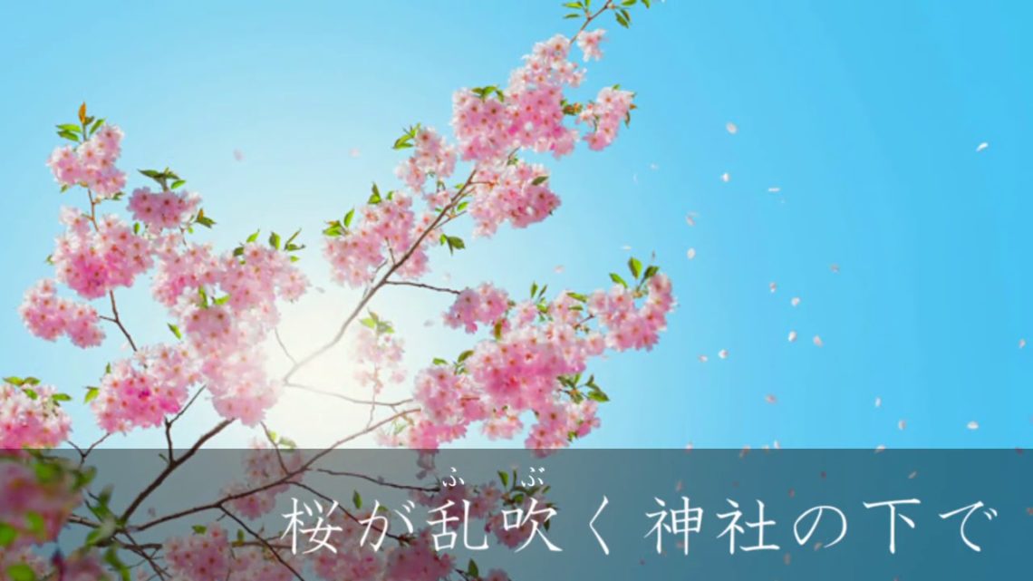 桜が乱吹く神社の下で【さくらみこ　新ＥＤ用ＢＧＭ】