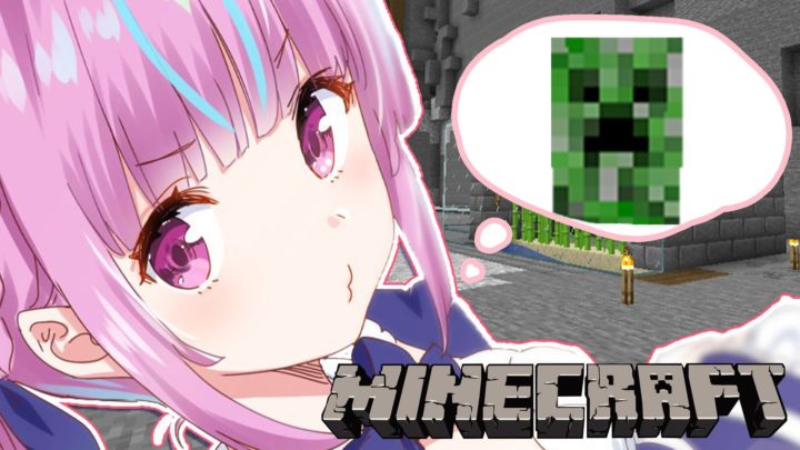 【Minecraft】夜ふかしいいい！AKUKIN建設クラフト！！【湊あくあ/ホロライブ】
