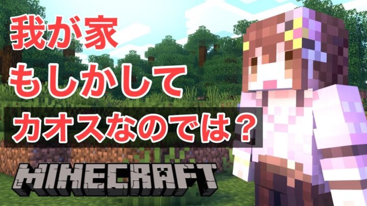 【Minecraft】我が家の地下カオスなのでは？【#ときのそら生放送】