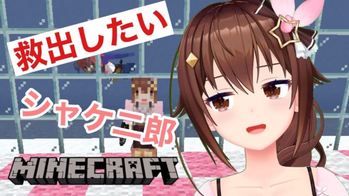 【Minecraft】マグマに負けない家づくり～シャケ次郎とわたし～【#ときのそら生放送】