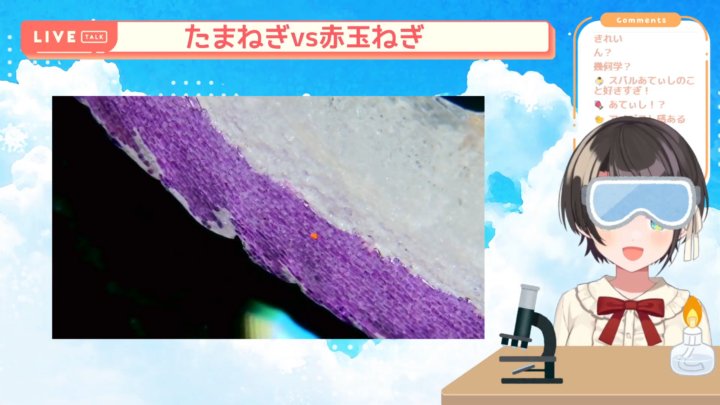 【夏休み自由研究】顕微鏡配信しゅばあああああああ！！！！/Stream to see the micro world with a microscope【ホロライブ/大空スバル】