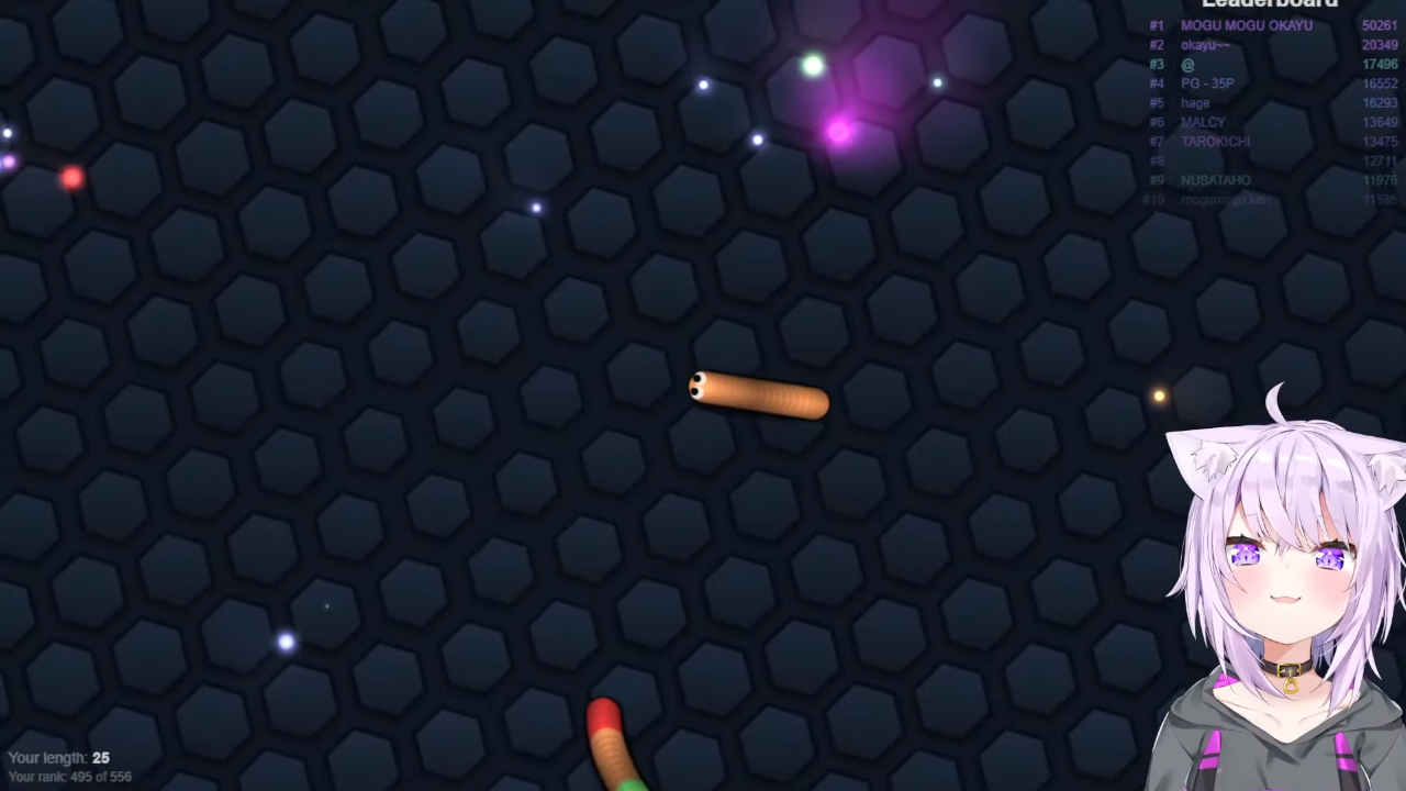 a31020a8b334f141df98473518d36843 【Slither.io】はじめての！Slither.io！にょろ～～【猫又おかゆ/ホロライブ】