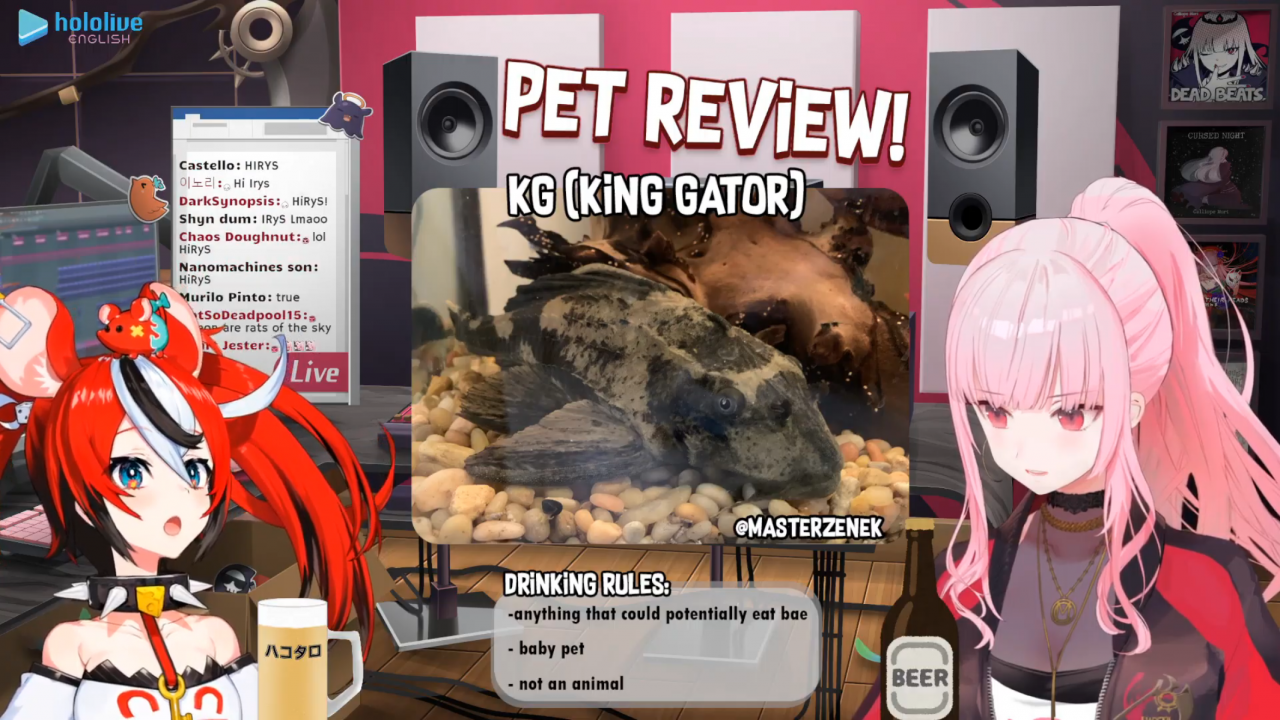 e116772a45b3b54520741795441de139 パス太郎デビュー！！【PET REVIEW】Drinking and Checking Out Your Cute Friends! with Baelz Hakos #baecalliopetreview